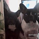 ���� �����, �����, 61 ��� - ��������� 27 ������ 2016