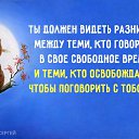 ���� ����, �����, 49 ��� - ��������� 7 ������� 2015 � ������ ������ ��������