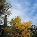  , , 60  -  4  2015   25.10.15.   