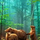 ���� �����, ����������� - ��������� 4 ������ 2015 � ������ �222�