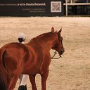 ���� ������, �����-���������, 70 ��� - ��������� 4 ������� 2015 � ������ ��� ������ �������� � �����-����������