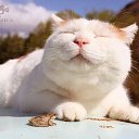 ���� ������, ����������� - ��������� 22 ������ 2016 � ������ ����� ����