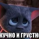 ���� ����, ������, 51 ��� - ��������� 20 ������� 2015 � ������ ������ ��������