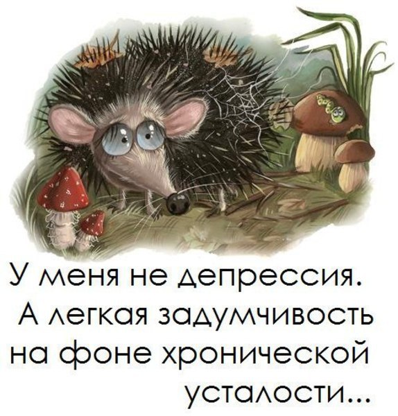  | ,  - 17  2016  10:00