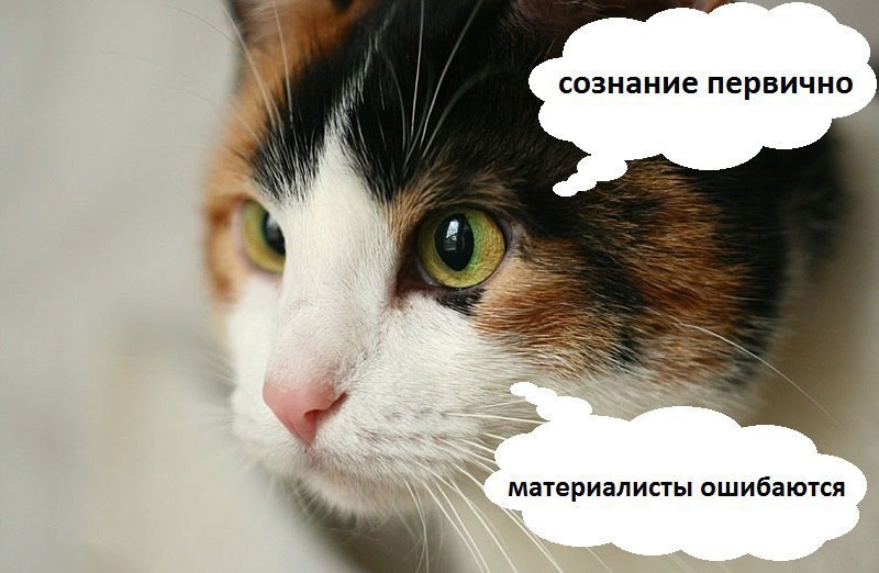     - 3