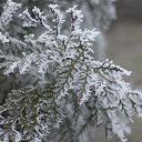  ••,  -  15  2015   