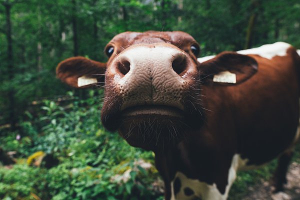 ������ ���� ����� ��, ��� �������� ������������� ���� �����. - 9