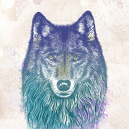 ���� ���, ������ - ��������� 29 ������� 2015