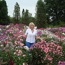 ���� ���������, ����������� - ��������� 26 ������� 2016 � ������ ���� ����������