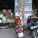 ������ �� ����� ����� �� ������� ��������