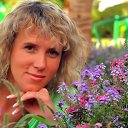 ���� �����, �����������, 54 ���� - ��������� 2 ������ 2015