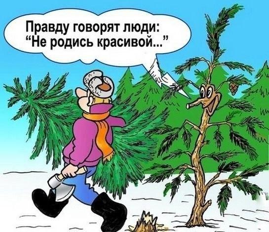 �����