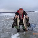 ���� Maslenitsa, ������, 54 ���� - ��������� 14 ������� 2015 � ������ ���� ����������