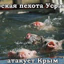 ���� Andrey, �����, 62 ���� - ��������� 26 ������ 2015 � ������ ������ ��������