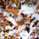 ���� ��, �������, 36 ��� - ��������� 11 ������� 2015 � ������ ������ ��������