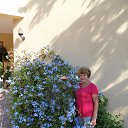 ���� ���� �����, ������, 73 ���� - ��������� 21 ������ 2016 � ������ ���� ����������