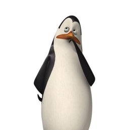 ���������, ���������, 31 ���