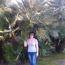 ���� �������, ����� - ��������� 1 ������ 2015 � ������ ���� ����������