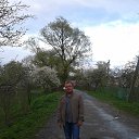 ���� ����, �����, 38 ��� - ��������� 4 ������ 2015 � ������ ���� ����������