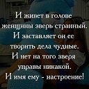 ���� �������, ������-��-��� - ��������� 10 ����� 2016 � ������ ������ ��������