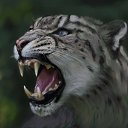 ���� �������, ����������� - ��������� 21 ������� 2016 � ������ ������ ��������
