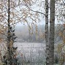 ���� �����, ���� - ��������� 30 �������� 2015 � ������ ������ ��������