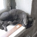 ��� ������!� ����������� ���������!�� �� ���������! �� ������� ������ ��������