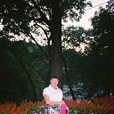 ���� Dfktynbyf, �����-��������� - ��������� 31 ������� 2015 � ������ ���� ����������