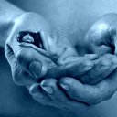 ���� ������� (����-�������), �����-���������, 49 ��� - ��������� 24 ������� 2015 � ������ ������ ��������