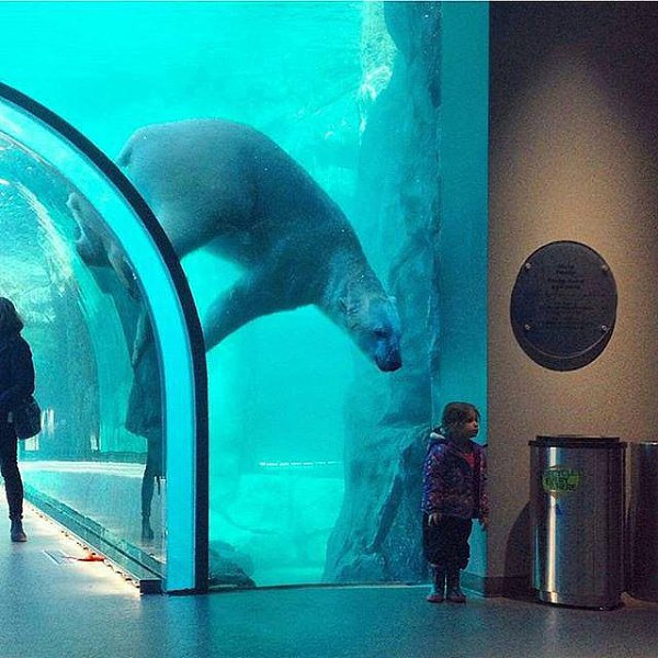 Look at this... 🌏 - 12 ������ 2015 � 06:17