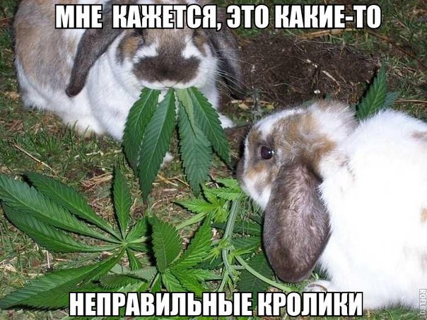  - 5  2016  15:06