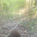 ���� ������, ������, 52 ���� - ��������� 26 ������ 2016