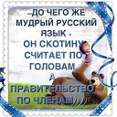 ���� ��������, �����-��������� - ��������� 10 ������� 2016 � ������ ������ ��������