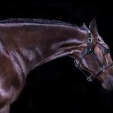 ���� ������, �����������, 52 ���� - ��������� 5 ������� 2015 � ������ ����� ������ۻ