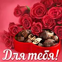 ���� Viktor, ����� - ��������� 15 ������ 2016 � ������ ������ ��������