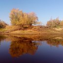 ���� ������, �����������, 71 ��� - ��������� 14 ������� 2015 � ������ ���� ����������