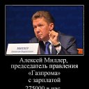 ���� Vladimip, �����������, 59 ��� - ��������� 10 ������ 2016 � ������ ������ ��������