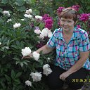 ���� �����, ���������, 63 ���� - ��������� 26 ������� 2015 � ������ ���� ����������