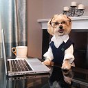 ���� �������, ������ - ��������� 5 ����� 2016 � ������ ���� ����������