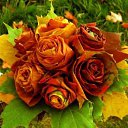 ���� �����, ����� - ��������� 11 ������ 2015 � ������ ������ ��������