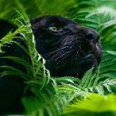 ���� �����, ������ - ��������� 25 ������� 2016 � ������ ���� ����������