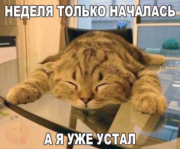    :D - 18  2016  22:02