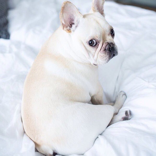   - 2  2015  08:10 - 2