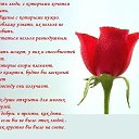 ���� �����, ��������� - ��������� 28 ������� 2015 � ������ ������ ��������