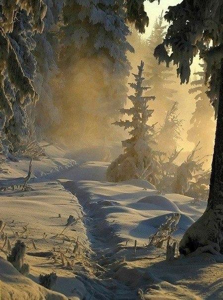   - 8  2015  09:33 - 3