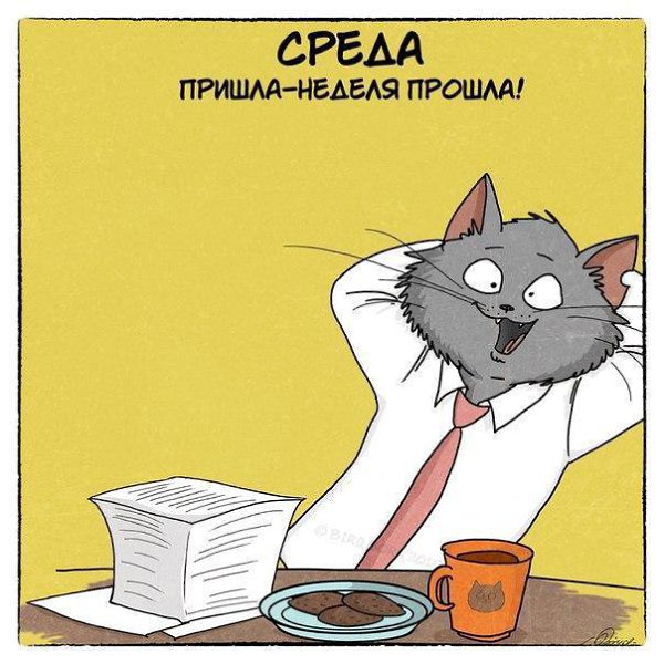 ...    - 3