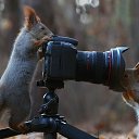 ���� ����, �������, 47 ��� - ��������� 10 ������� 2015 � ������ ������ ��������