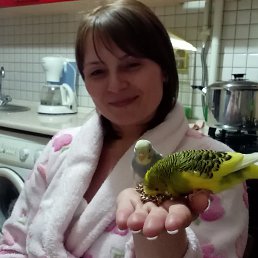 ���� Karamelka, ������, 54 ���� - ��������� 3 ������� 2016