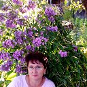 ���� ������, �����-���������, 62 ���� - ��������� 27 ������� 2016