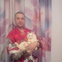 ������, ���������, 49 ���